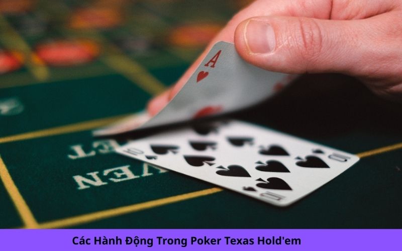 Các Hành Động Trong Poker Texas Hold'em