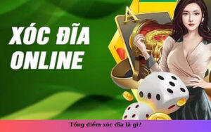Tổng điểm xóc đĩa là gì