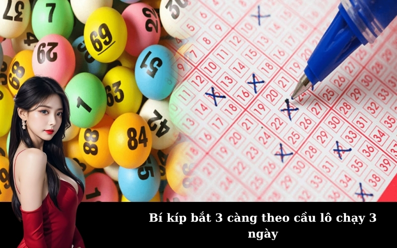 Bí kíp bắt 3 càng theo cầu lô chạy 3 ngày