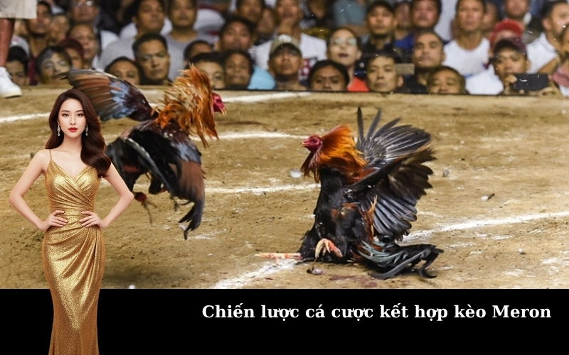 Chiến lược cá cược kết hợp kèo Meron
