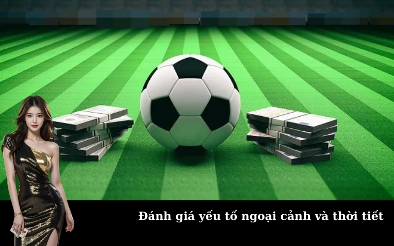 Đánh giá yếu tố ngoại cảnh và thời tiết