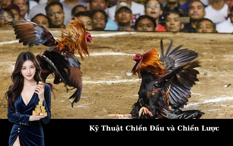 Kỹ Thuật Chiến Đấu và Chiến Lược