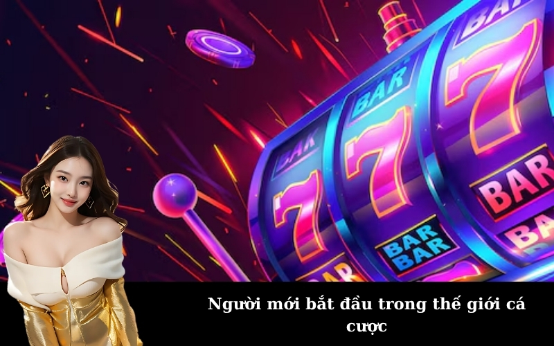 Người mới bắt đầu trong thế giới cá cược