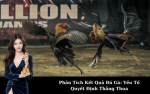 Phân Tích Kết Quả Đá Gà_ Yếu Tố Quyết Định Thắng Thua