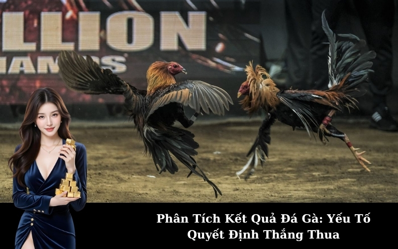 Phân Tích Kết Quả Đá Gà_ Yếu Tố Quyết Định Thắng Thua