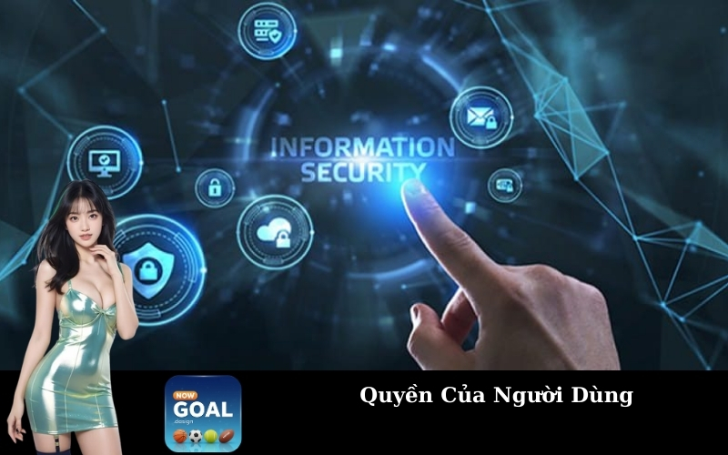 Quyền Của Người Dùng